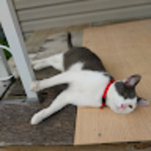 Meet your Posher, Terry